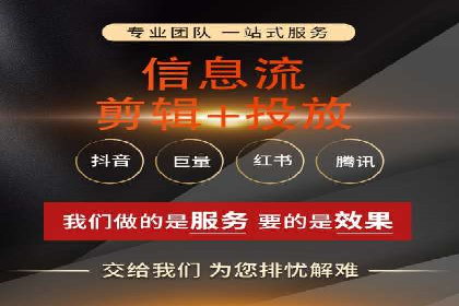 某企业SEM广告投放的ROI提升策略及效果展示